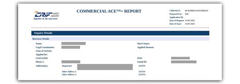 crif commercial lite report